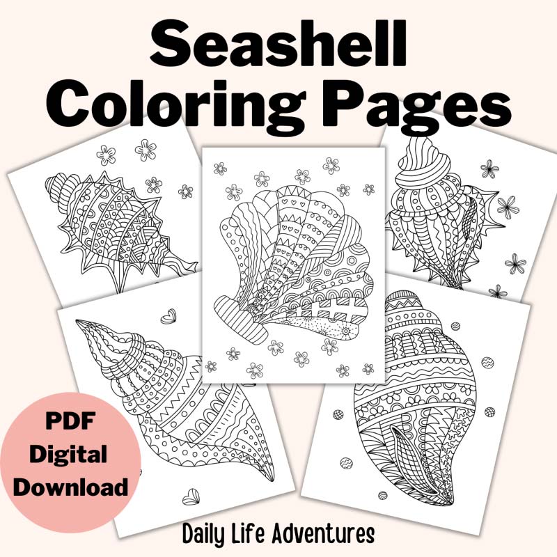 Seashell coloring pages - 5 adult coloring pages shown. PDF Digital download.